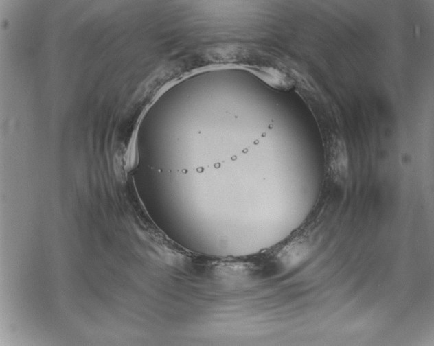 X0000069390332200605150949