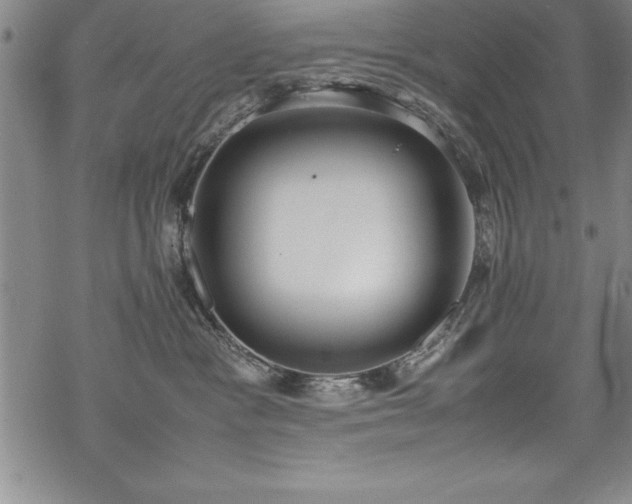 X0000069390333200605150949