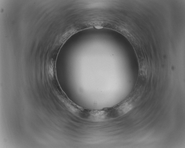 X0000069390334200605150949