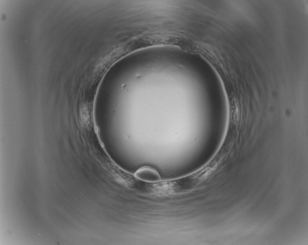 X0000069390335200605150949