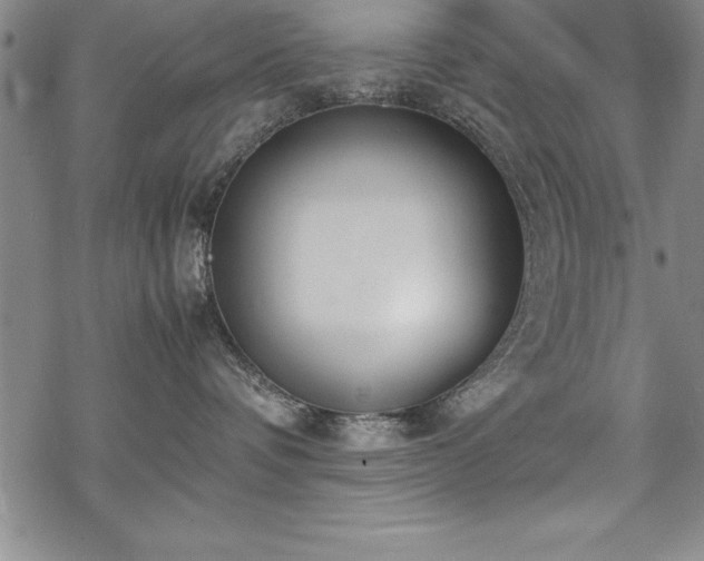 X0000069390336200605150949