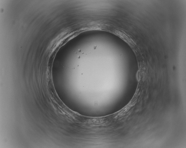 X0000069390338200605150949