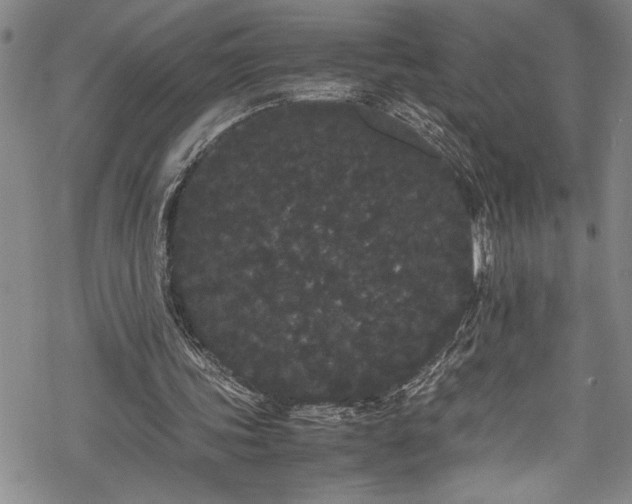 X0000069390339200605150949