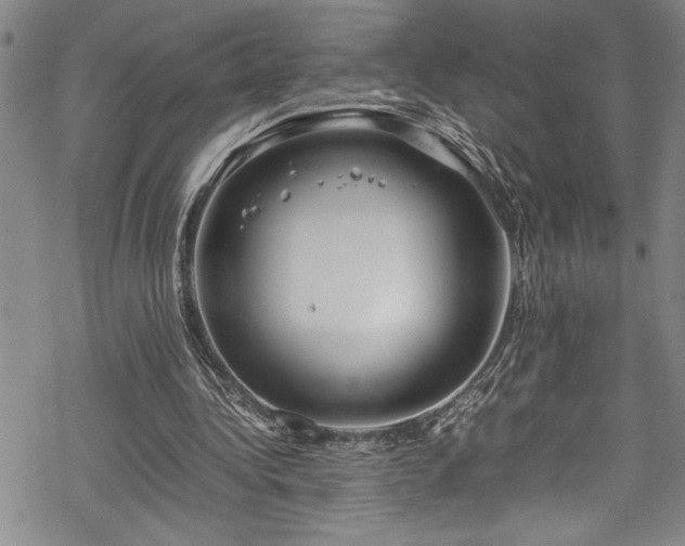 X0000069390340200605150949