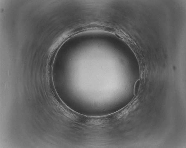 X0000069390341200605150949