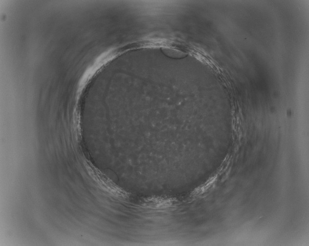 X0000069390343200605150949