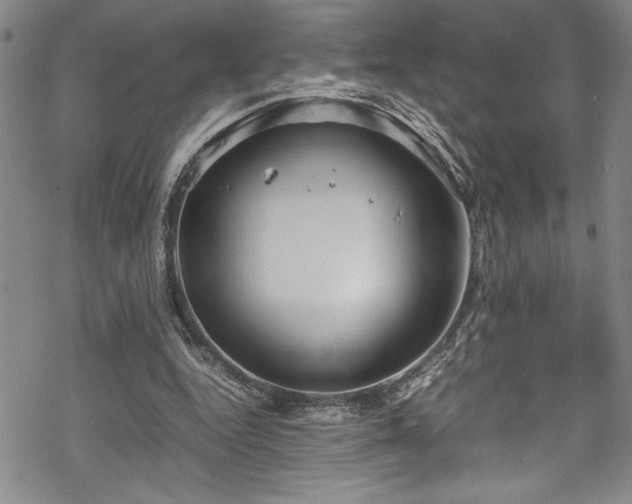 X0000069390344200605150949