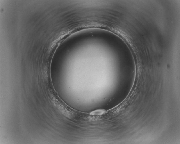 X0000069390345200605150949