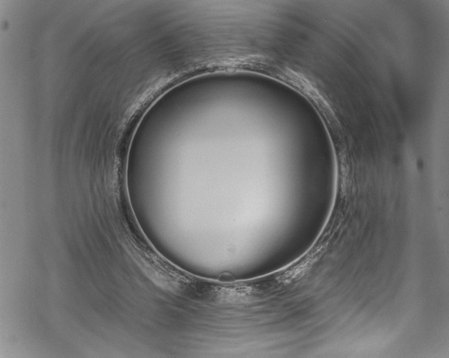 X0000069390346200605150949