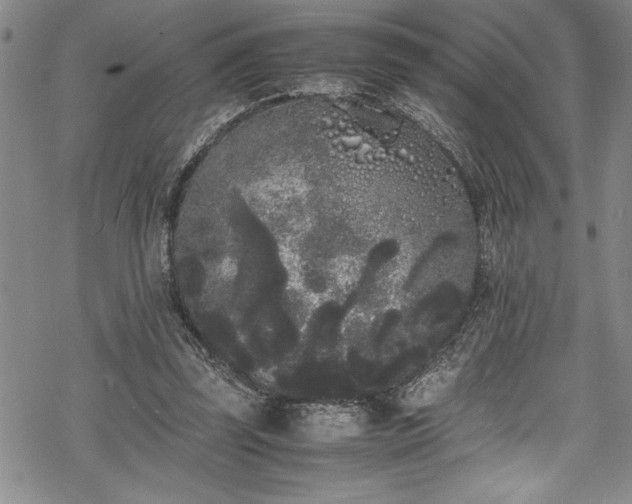 X0000069390347200605150949