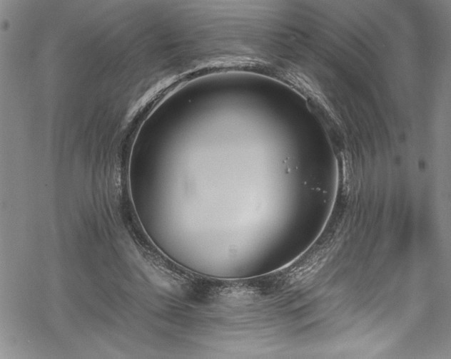 X0000069390348200605150949