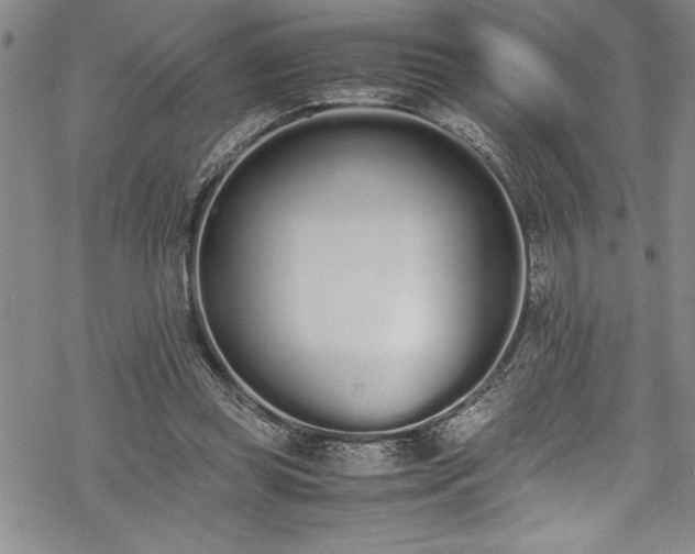 X0000069390349200605150949