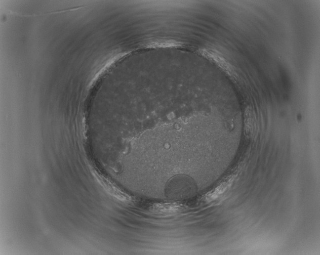 X0000069390351200605150949