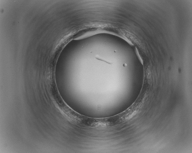 X0000069390352200605150949