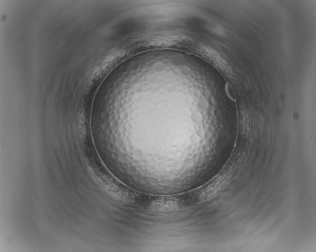 X0000069390354200605150949