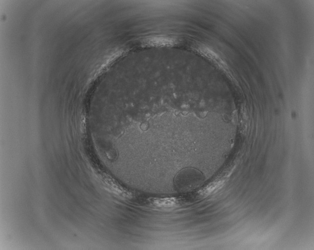 X0000069390355200605150949