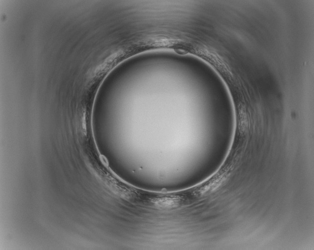 X0000069390358200605150949