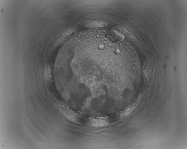 X0000069390359200605150949