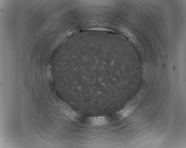 X0000069390361200605150949