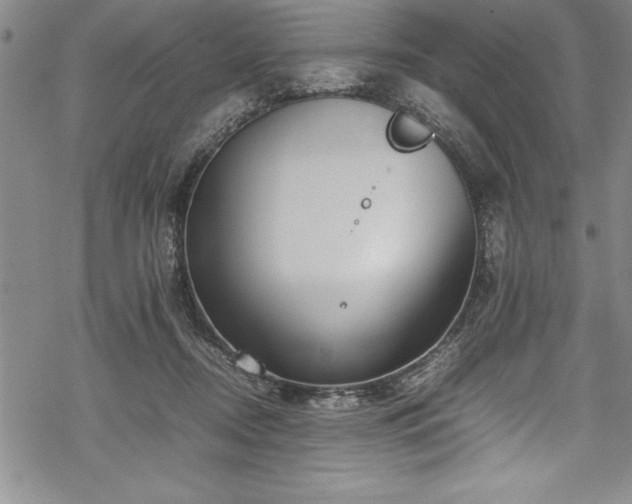 X0000069390362200605150949