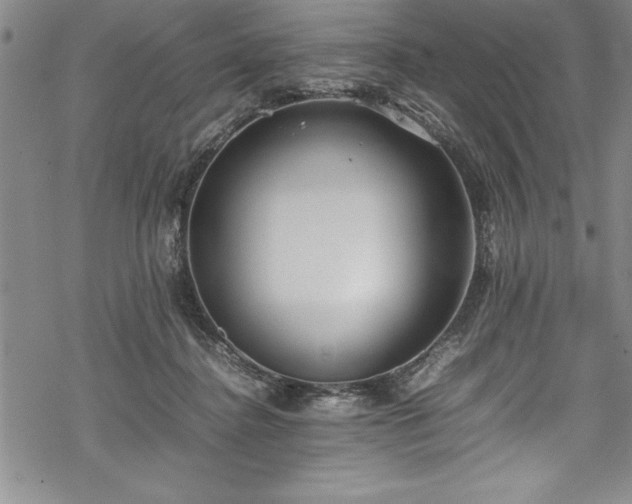 X0000069390364200605150949