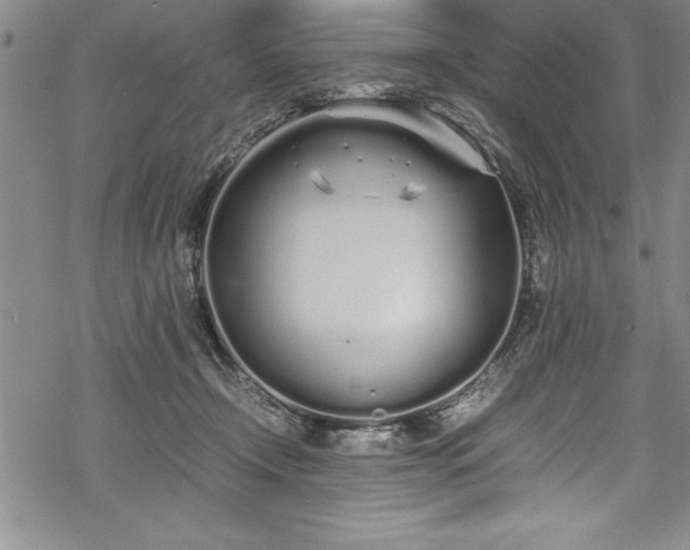 X0000069390366200605150949