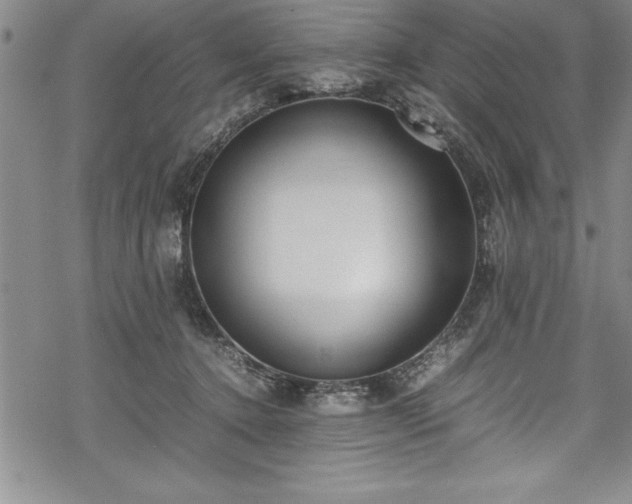 X0000069390368200605150949