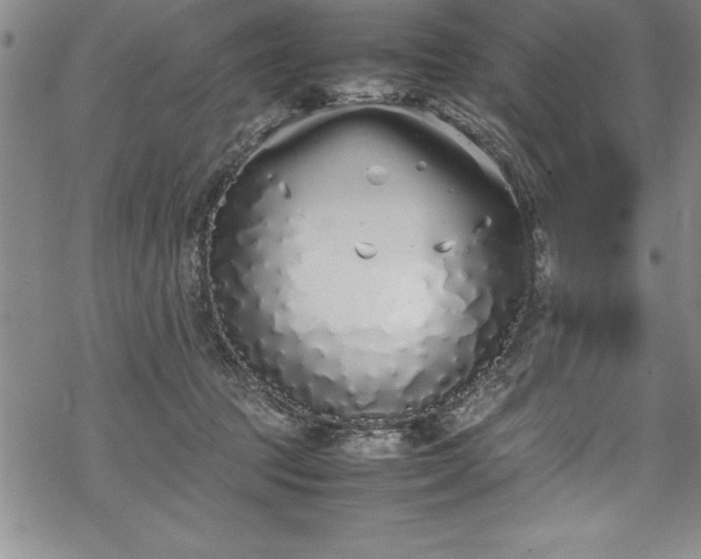 X0000069390369200605150949