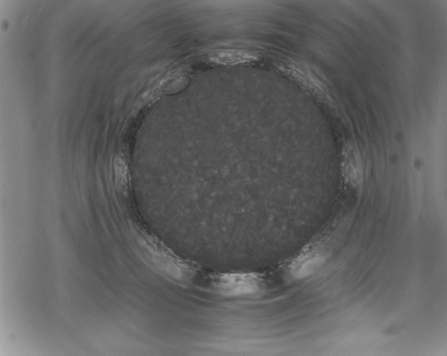 X0000069390371200605150949