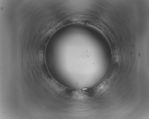 X0000069390372200605150949