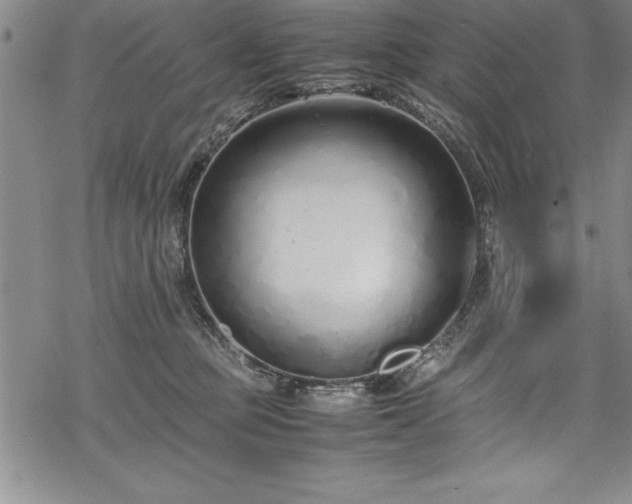 X0000069390373200605150949