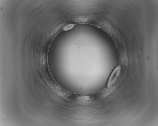 X0000069390374200605150949