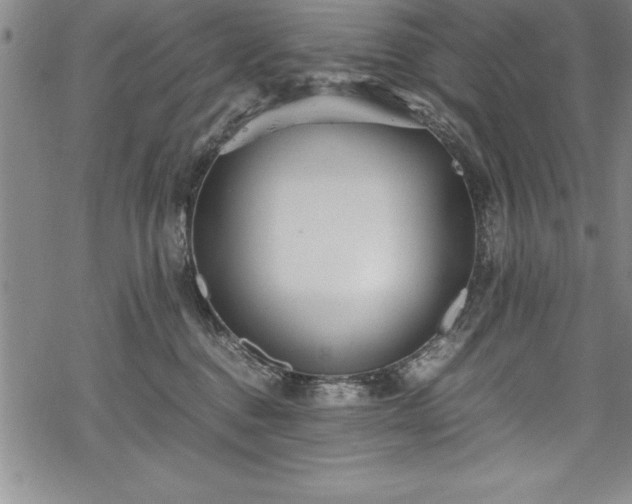 X0000069390376200605150949