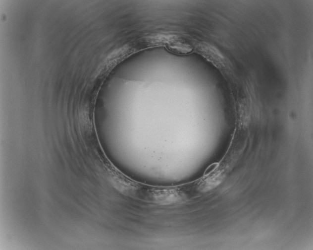 X0000069390377200605150949