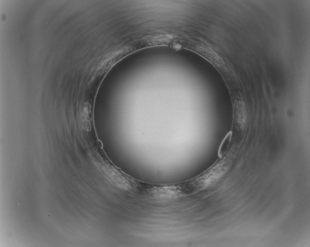 X0000069390378200605150949