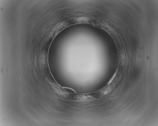 X0000069390379200605150949