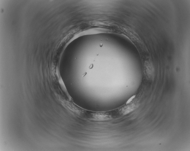 X0000069390380200605150949