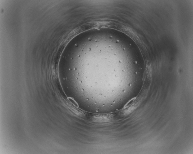 X0000069390381200605150949