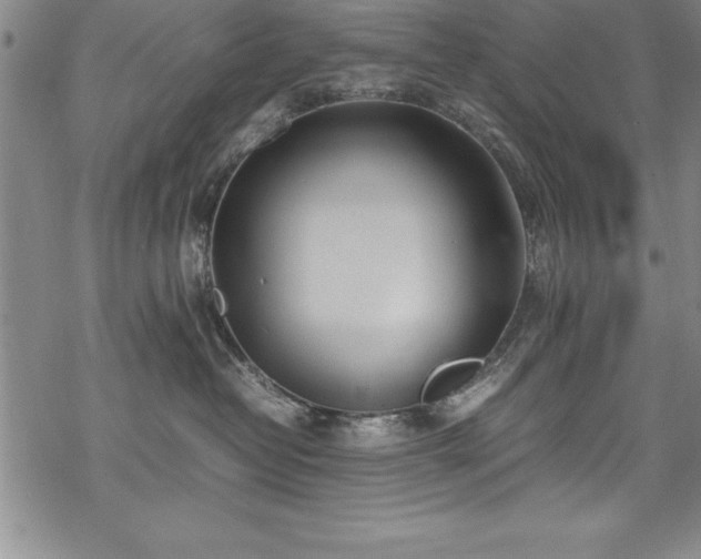 X0000069390382200605150949