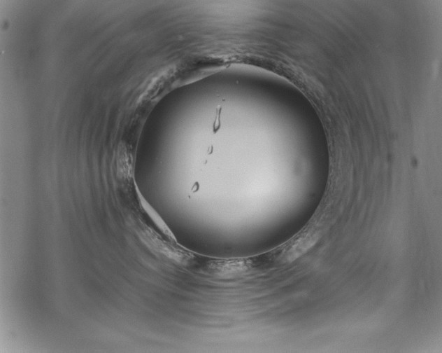 X0000069390384200605150949