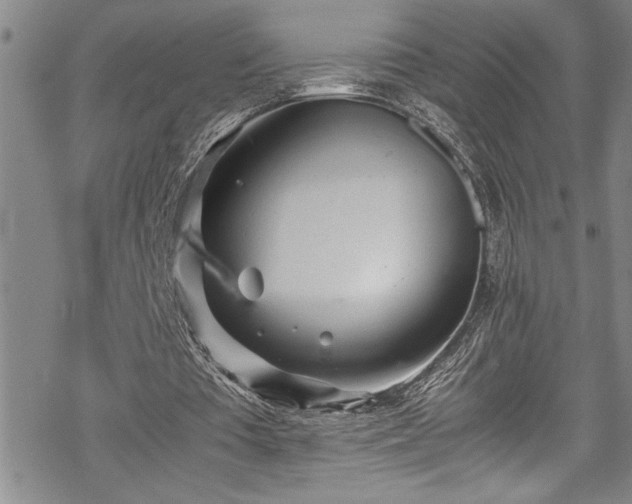 X0000069390385200605150949