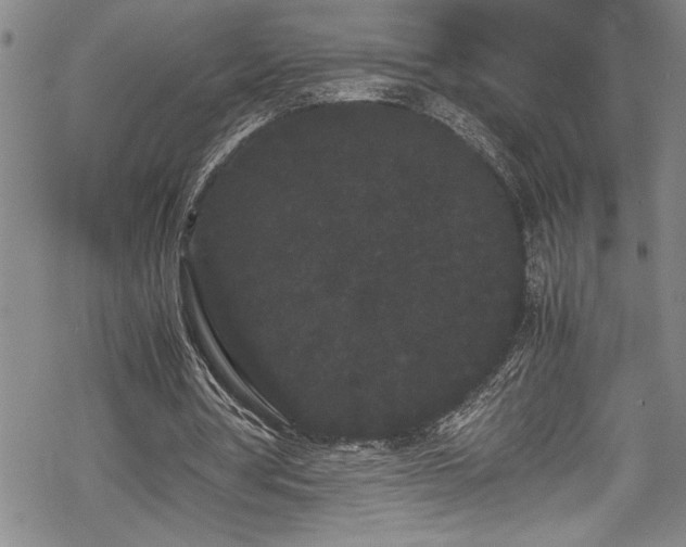 X0000069390386200605150949