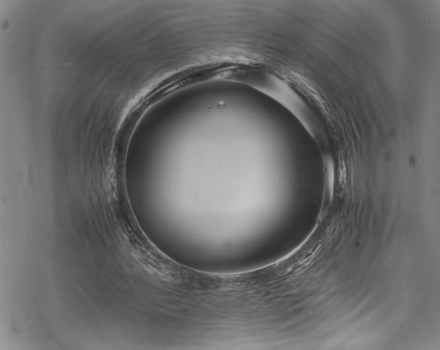 X0000069390388200605150949