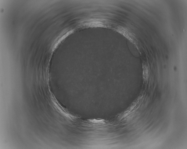 X0000069390390200605150948