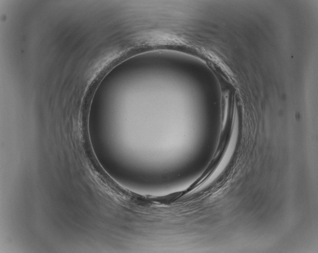 X0000069390391200605150948