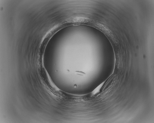 X0000069390392200605150948