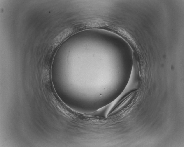 X0000069390393200605150948