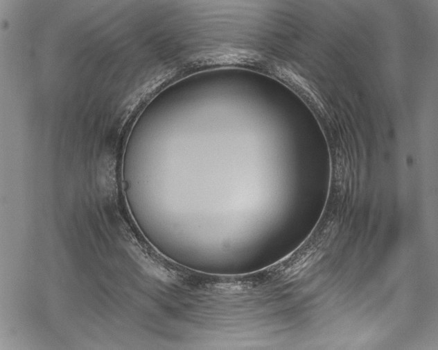 X0000069390394200605150948