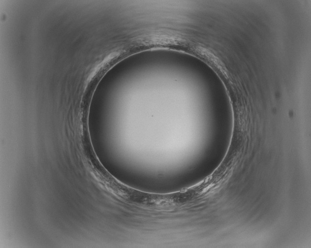 X0000069390395200605150948