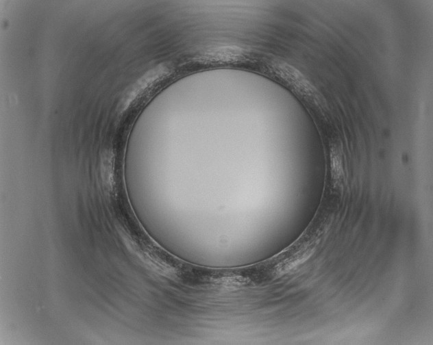 X0000069390396200605150948